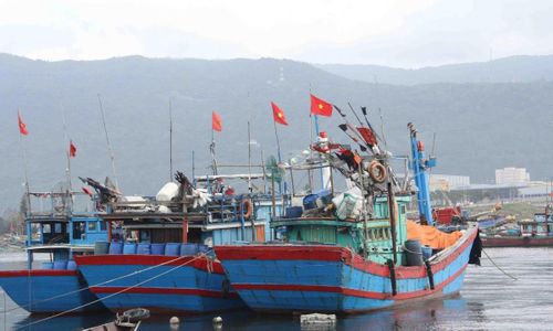 Kiên quyết không để phát sinh tàu cá vi phạm vùng biển nước ngoài, xử lý dứt điểm các trường hợp vi phạm VMS, kiểm soát chặt tàu xuất nhập bến và truy xuất nguồn gốc thủy sản (Ảnh C.T)