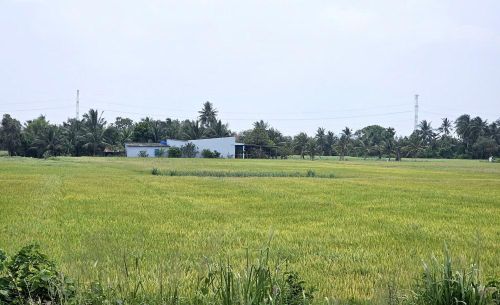 Đến năm 2030 TP Hồ Chí Minh chấm dứt hoạt động đốt rác, đốt phụ phẩm nông nghiệp ngoài trời không đúng quy định.