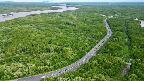 Đến năm 2030, thành phố đặt mục tiêu tỷ lệ che phủ rừng duy trì ổn định ở mức 11%.