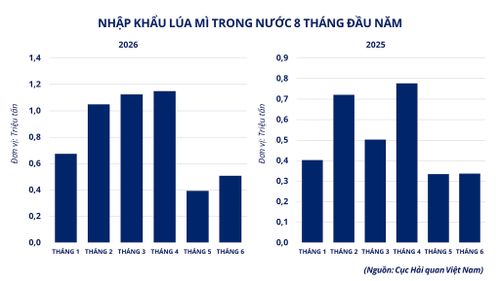 Nhập khẩu lúa mì Việt Nam 8 tháng đầu năm. Nguồn: MXV