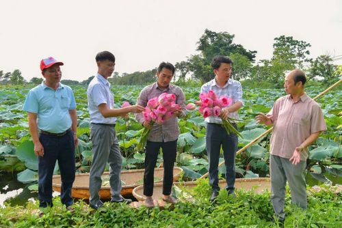 Mô hình trồng sen gắn với xây dựng thương hiệu, nhãn hiệu kết hợp với du lịch sinh thái ở xã Chuyên Mỹ cho giá trị kinh tế cao. Ảnh: PV