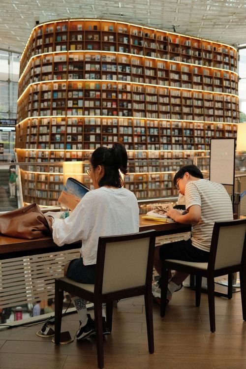 Điểm đọc ở Hàn Quốc giảm, dấy lên lo ngại về khả năng đọc hiểu thông tin ở thanh thiếu niên nước này. Ảnh minh họa: İrem Çilingir/Pexels.