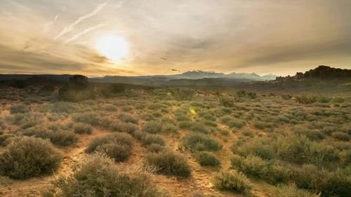 (Nate Foong/Unsplash)