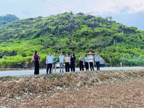 Khu đất gieo trồng hoa tại xã Yên Minh.