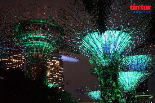 Ánh sáng chuyển động trên những “siêu cây” trong chương trình Garden Rhapsody, tạo nên màn trình diễn rực rỡ giữa lòng Singapore.