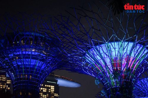 Bầu trời đêm Singapore trở nên rực rỡ dưới những ‘siêu cây’ khổng lồ.