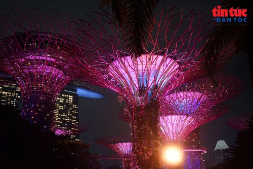 Khu rừng Supertree mở cửa hằng ngày từ 5 giờ đến 2 giờ sáng hôm sau, hệ thống đèn Supertrees tắt lúc 23 giờ 30 mỗi tối.