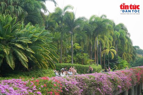 Du khách thư thái hoà mình vào không gian xanh mát, chờ đợi thưởng thức chương trình biểu diễn ánh sáng kết hợp âm nhạc Garden Rhapsody.
