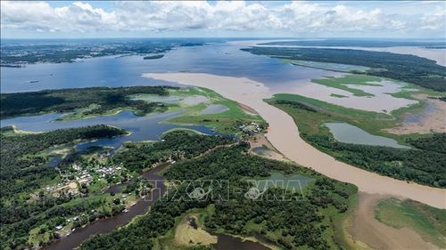 Nhánh sông Amazon tại thành phố Manaus, thủ phủ bang Amazonas của Brazil. Ảnh: THX/TTXVN