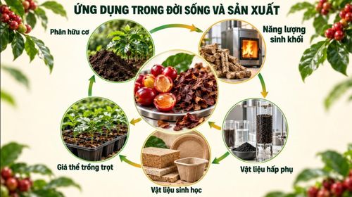 TP Hồ Chí Minh tận dụng phụ phẩm cà phê để tạo giá trị gia tăng.