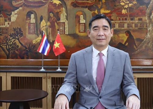 Đại sứ Việt Nam tại Thái Lan Phạm Việt Hùng. Ảnh: Đỗ Sinh/PV TTXVN tại Thái Lan