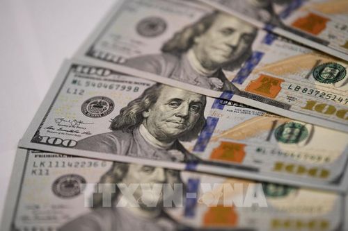 Tỷ giá hôm nay 10/9: USD tiếp tục diễn biến giảm. Ảnh: THX/TTXVN