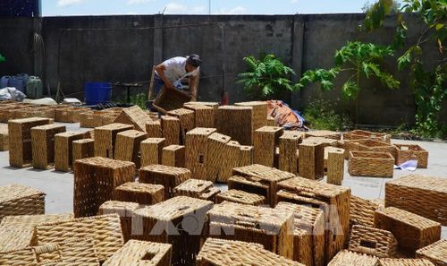 Công nhân phơi nắng sản phẩm thủ công mỹ nghệ làm từ cây lục bình. Ảnh: Nhựt An - TTXVN