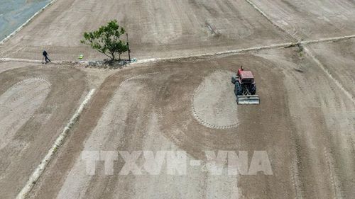 Người dân xã biên giới Ninh Điền, tỉnh Tây Ninh ứng dụng cơ giới hóa vào sản xuất nông nghiệp, góp phần nâng cao năng suất, hiệu quả lao động. Ảnh: Giang Phương - TTXVN