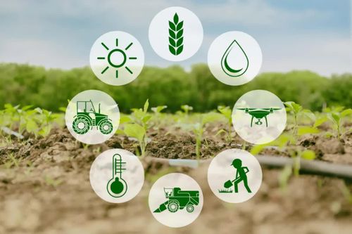 Tăng mạnh mức hỗ trợ phí bảo hiểm nông nghiệp tới 95%