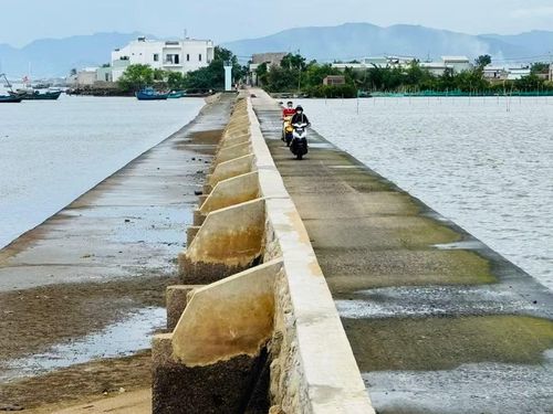 Tràn Dương Thiện (xã Tuy Phước Đông) thuộc hệ thống đê Khu Đông đã xuống cấp, tiềm ẩn nguy cơ mất an toàn. Ảnh: N.H