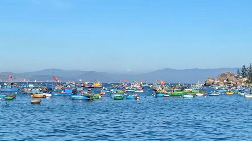 Hiện nay, tàu cá có chiều dài dưới 12 m chiếm gần 30% tổng số tàu cá toàn tỉnh. Ảnh: N.T