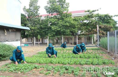 Vườn rau được các chiến sĩ chăm chút kỹ lưỡng.