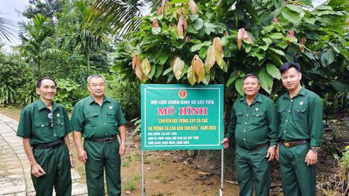 Với hiệu quả bước đầu, mô hình đang được Hội CCB xã Cát Tiên nhân rộng