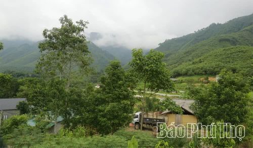 Cuộc sống của đồng bào người Mông ở thôn Mỹ Á đang ngày càng khởi sắc.