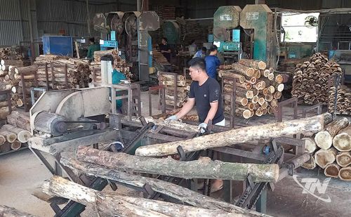 Hoạt động của Công ty TNHH Sản xuất và Thương mại Lộc Thịnh.