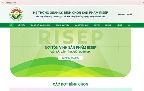 Hệ thống quả lý, bình chọn RISEP có địa chỉ truy cập risep.gov.vn. (ảnh Hoàng Dương)