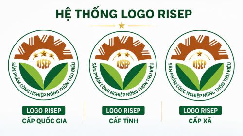 Logo bình chọn RISEP các cấp. (ảnh Hoàng Dương)