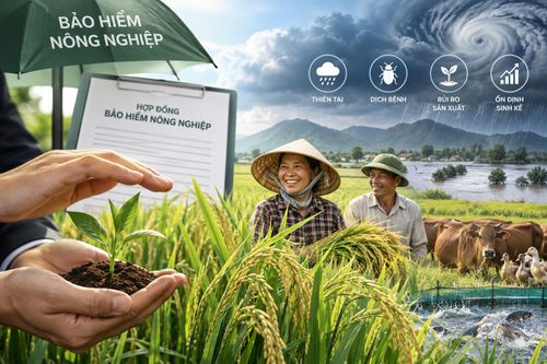 Cá nhân sản xuất nông nghiệp thuộc diện hộ nghèo, cận nghèo được hỗ trợ tối đa 95% phí bảo hiểm nông nghiệp (Ảnh minh họa, có sử dụng AI).