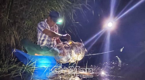Trải nghiệm dỡ lọp ban đêm tại Vườn Quốc gia U Minh Hạ.