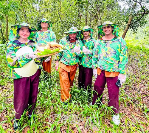 Du khách nước ngoài trải nghiệm lấy tổ ong rừng tại Khu Du lịch sinh thái Cà Mau Eco.