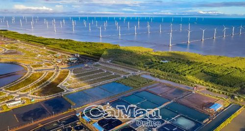 Ðiện gió ven biển kết hợp nuôi tôm công nghệ cao, phát huy thế mạnh của Cà Mau. (Ảnh: Hữu Thọ)