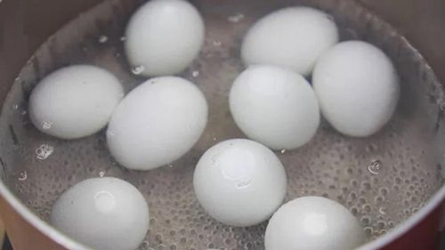 Trứng vịt lộn cần ăn ngay lúc nóng mới ngon.