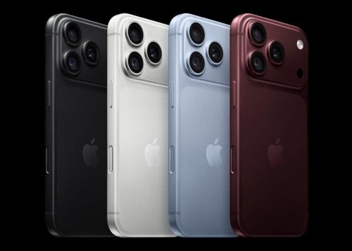 Dòng Pro có 4 màu, với tâm điểm là màu đỏ mận Burgundy. Ảnh: Apple Việt Nam