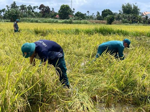 Sự chung tay của lực lượng vũ trang giúp người dân giảm bớt thiệt hại