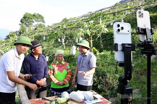 Người dân xã Lâm Bình livestream bán hàng nông sản.