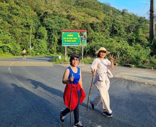 Quản lý chặt hoạt động trekking là yêu cầu cần thiết để bảo đảm an toàn cho du khách và bảo vệ rừng Sơn Trà.