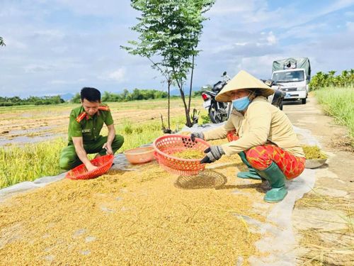 Gặt, mang lúa lên bờ