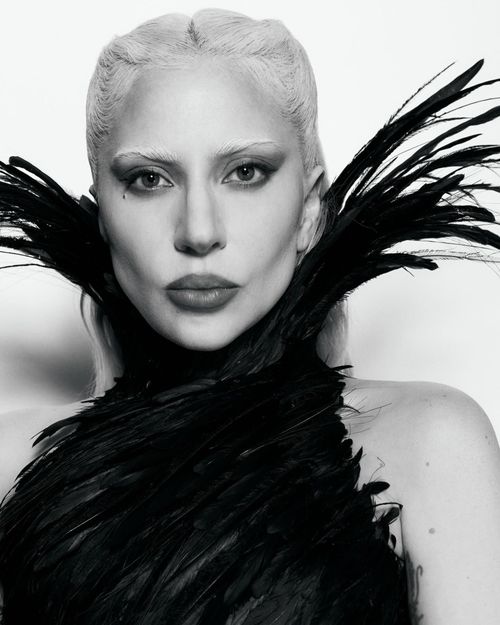 Từ năm 22 tuổi, Lady Gaga đã trở thành siêu sao quốc tế, gặt hái loạt thành tích ấn tượng.