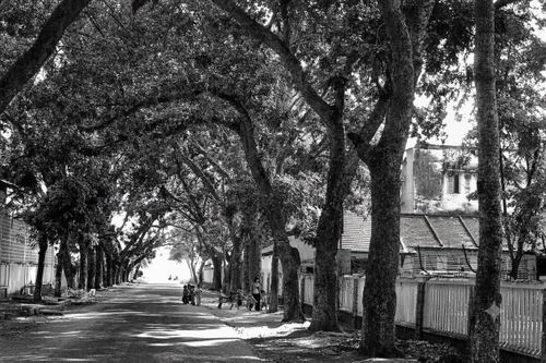 Khung cảnh đường Lý Tự Trọng năm 1983. Ảnh: HUỲNH NAM