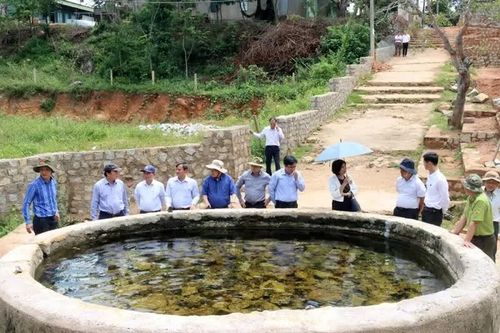 Đoàn khảo sát tại điểm nước nóng Daana