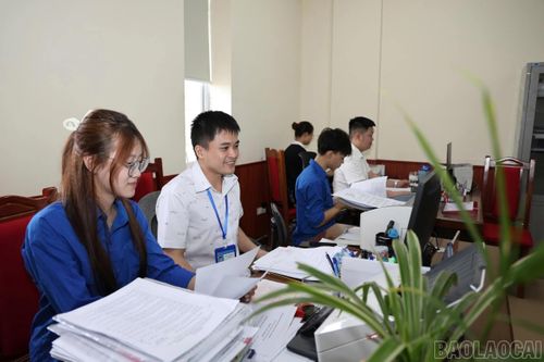 Sinh viên hỗ trợ số hóa dữ liệu đất đai.
