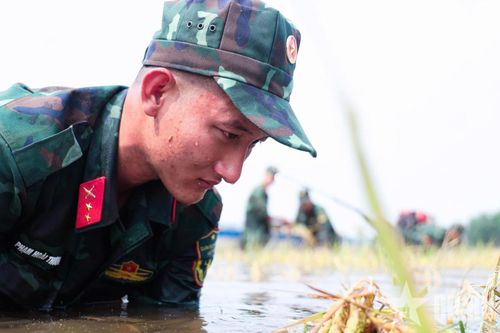 Bộ đội luôn có mặt, sát cánh cùng nhân dân.