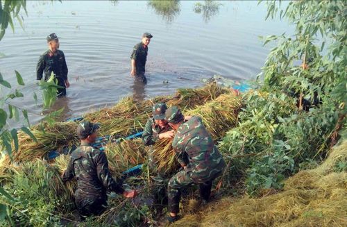 Các chiến sĩ hỗ trợ nhân dân gặt lúa và vận chuyển lên bờ