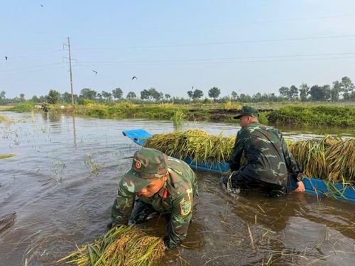 Hoạt động này cũng góp phần thắt chặt tình đoàn kết quân - dân, lan tỏa hình ảnh người lính “Bộ đội Cụ Hồ” trong lòng Nhân dân.