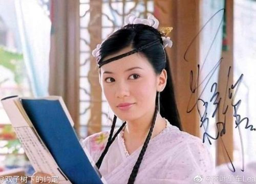 Năm 2003, Giả Tịnh Văn tiếp tục đưa Triệu Mẫn lên màn ảnh trong Ỷ Thiên Đồ Long Ký, đóng cùng Tô Hữu Bằng.