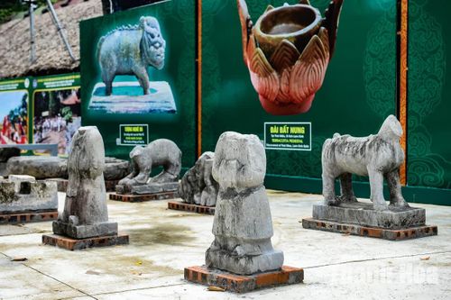 Tượng quan hầu bằng đá được phát hiện tại Di tích Lam Kinh năm 1998. Cùng với tượng con giống, đây là một phần không thể thiếu trong hệ thống tượng tại các lăng, miếu ở Lam Kinh.