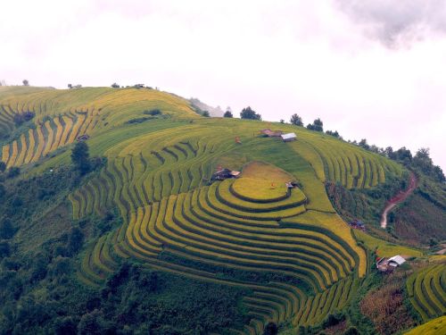 Mây trắng bảng lảng ôm lấy những dãy núi, tạo nên khung cảnh thơ mộng giữa mùa vàng Xím Vàng.