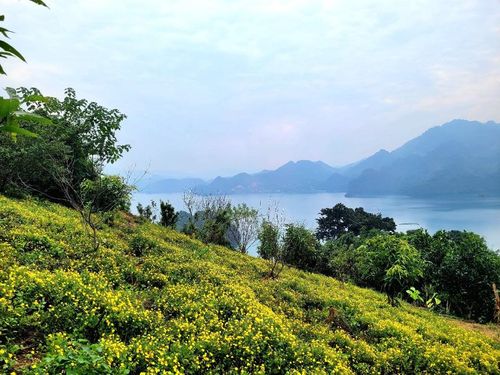 Trang trại canh tác hữu cơ của hộ sản xuất Linh Long Farm, thành viên HTX Đà Giang ECO, tại xóm Dưng, xã Đà Bắc, tỉnh Phú Thọ.
