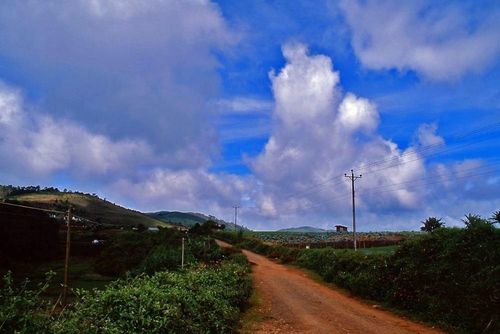 Ở khu vực ngoại ô Đà Lạt năm 1996, những khu dân cư còn đan xen với vườn rau, vườn hoa và các khoảng đất canh tác bám theo sườn đồi. Thời điểm này, Đà Lạt có khoảng 3.902 ha rau và 174 ha hoa cắt cành, cho thấy nông nghiệp chiếm tỷ trọng đáng kể. Hiện khu vực ngoại ô đã có nhiều nhà kính thủy canh và các quán cà phê tầm nhìn ra núi rừng hoặc mô hình nông trại.