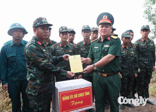 Đảng ủy, Bộ CHQS tỉnh Tây Ninh thăm, động viên lực lượng giúp dân thu hoạch lúa.